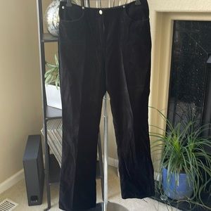 Ann Taylor Loft Velvet Pants